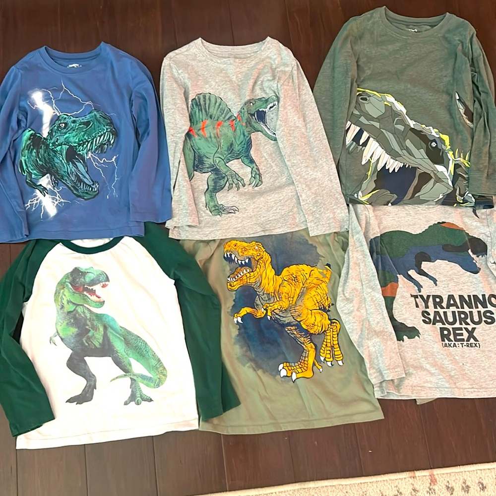 Dinosaur Lover Long Sleeve Tshirt Bundle, Size 6 Boy, Dino Lover Fall Winter Lot